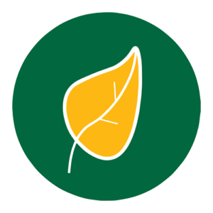 A yellow leaf icon with a white outline and veins is centered on a dark green circular background, symbolizing modernization.