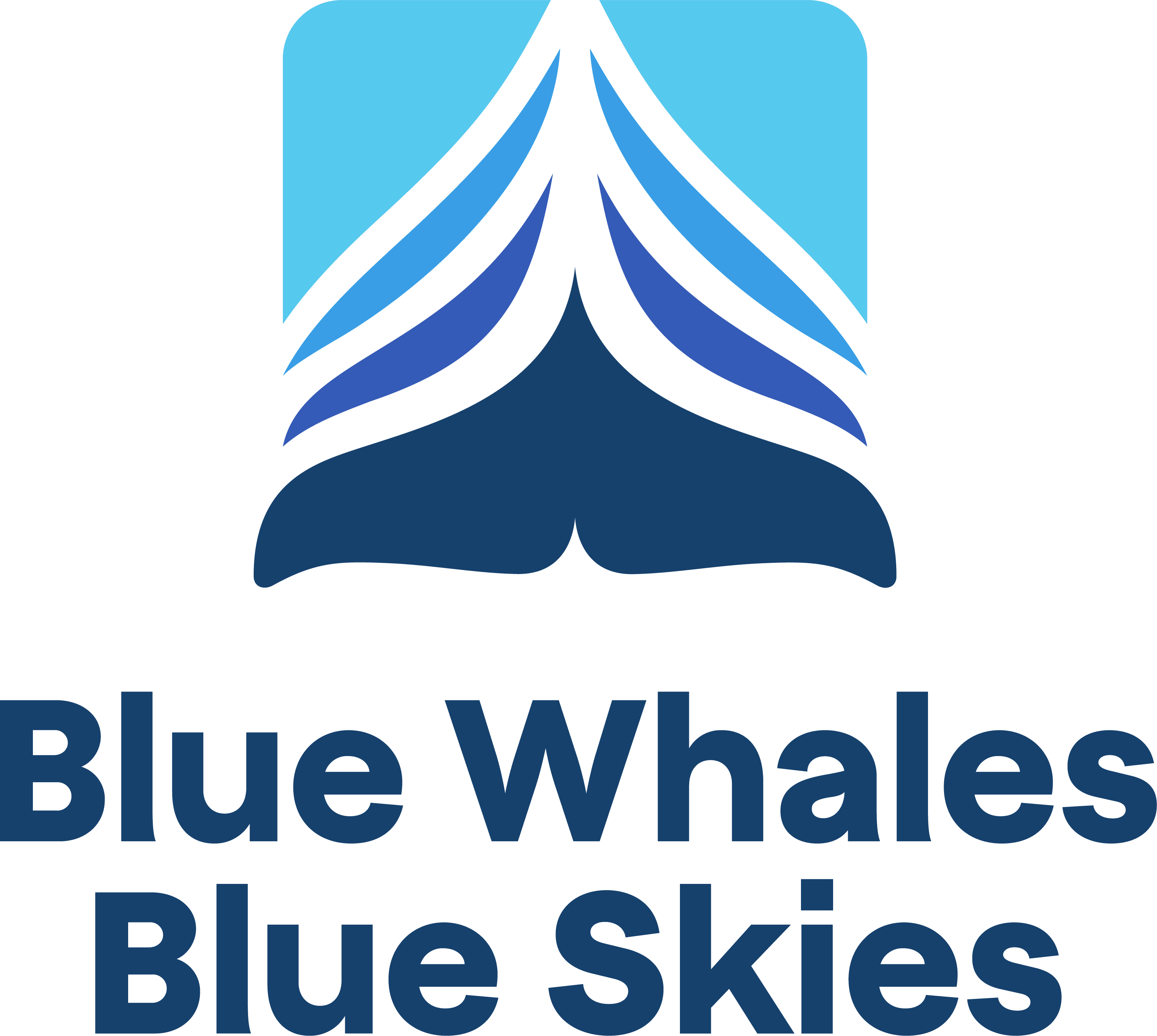 Logo featuring a stylized blue whale tail with the text Blue Whales, Blue Skies below, embodying the spirit of our conservation program.