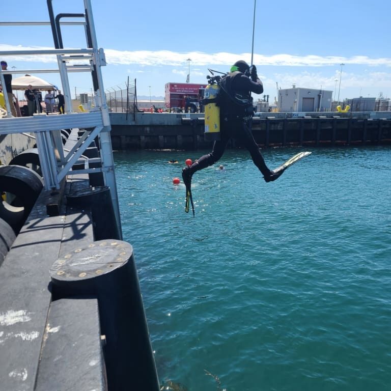 A diver wearing full scuba gear is jumping into the coastal waters from a dock on a sunny day. The dock and harbor facilities are visible in the background.